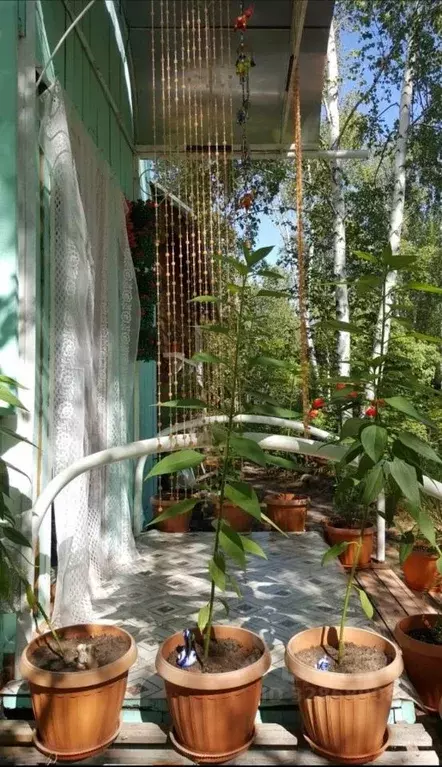 Дом в Саха (Якутия), Якутск городской округ, с. Владимировка ул. ... - Фото 2