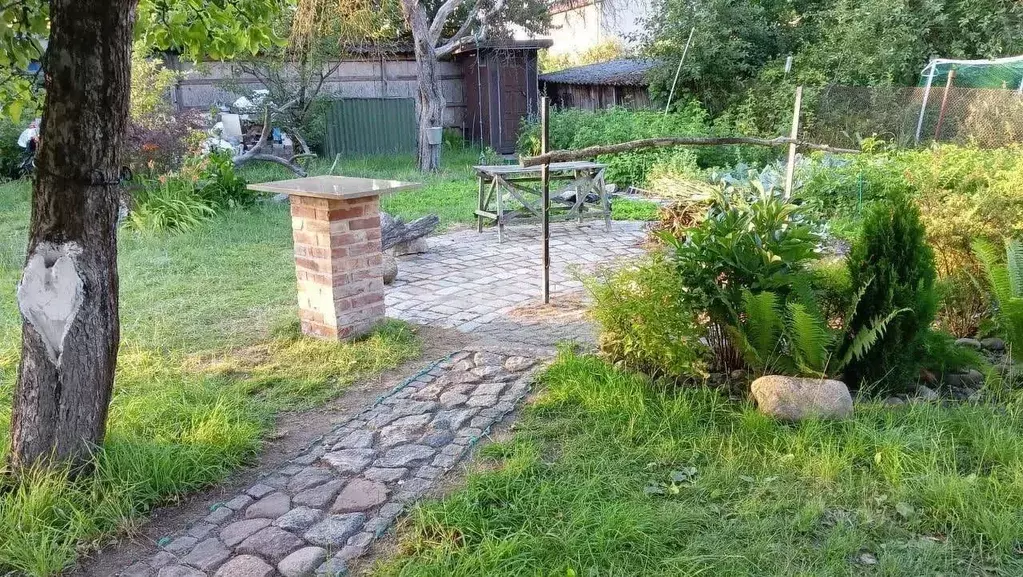 Участок в Калининградская область, Калининград Победа садовое ... - Фото 1