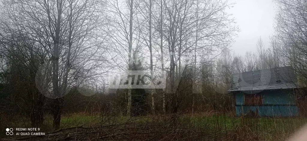 Участок 12 сот. (СНТ, ДНП) - Фото 1