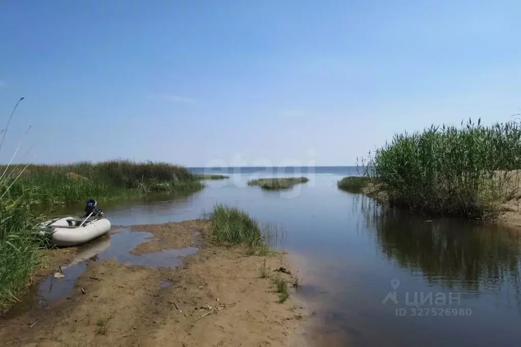 Участок в Псковская область, Печорский муниципальный округ, д. Моложва ... - Фото 1