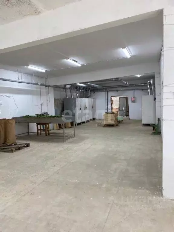 Торговая площадь в Ярославская область, Борисоглебский муниципальный ... - Фото 1