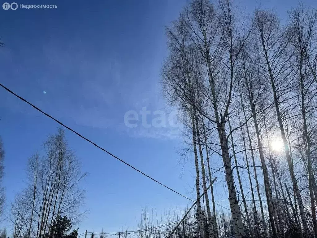 Участок в Пениковское сельское поселение, деревня Таменгонт, Медвежий ... - Фото 1