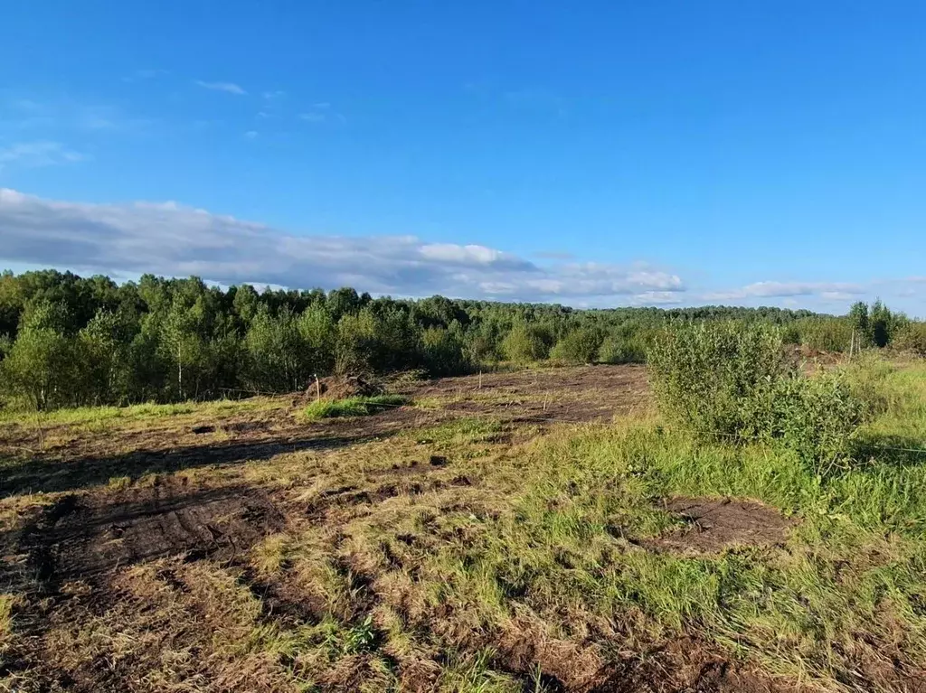 Участок в Томская область, Томский район, с. Корнилово ул. Жирова (8.0 ... - Фото 2