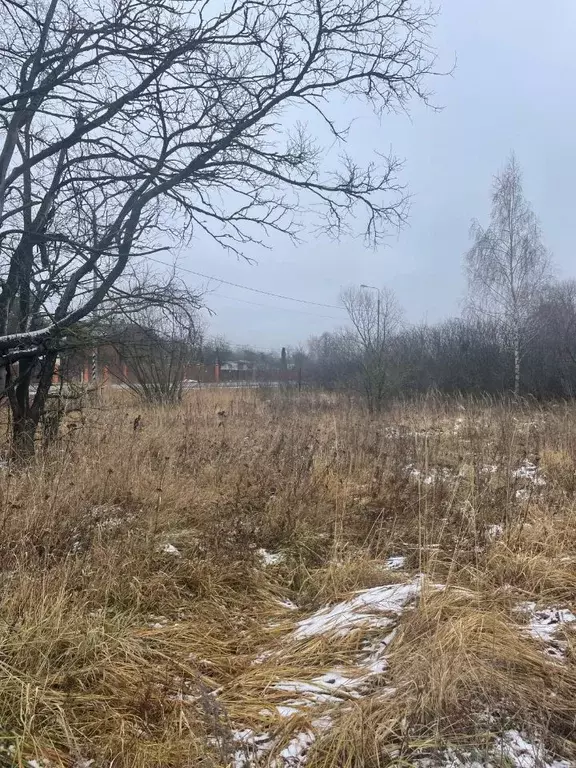 Участок в Московская область, Ступино городской округ, д. Алеево  (6.0 ... - Фото 0