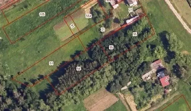 Участок в Московская область, Зарайск муниципальный округ, д. Мишино 3 ... - Фото 1