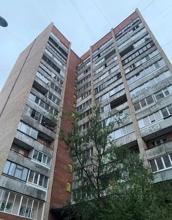 Комната Санкт-Петербург ул. Асафьева, 9К1 - Фото 2
