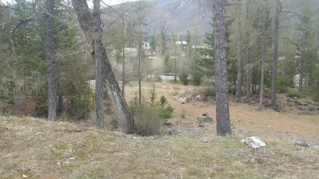 Участок в Алтай, Улаганский район, с. Акташ Заречная ул., 11Б (11.0 ... - Фото 1