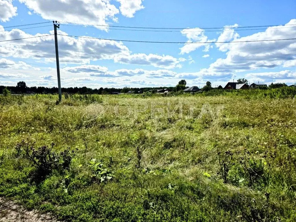 Участок в Тюменская область, Нижнетавдинский муниципальный округ, ... - Фото 2