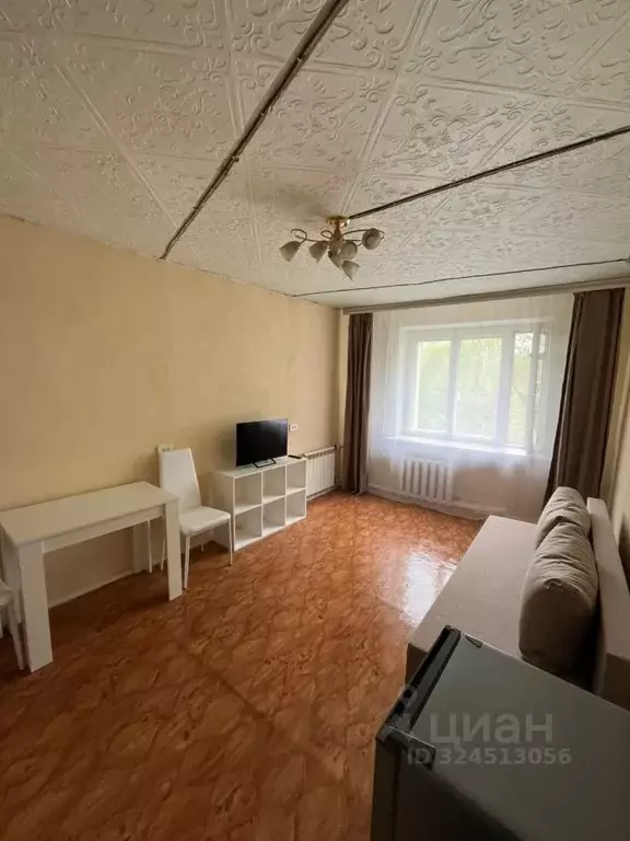 Студия Оренбургская область, Оренбург Братская ул., 5 (18.0 м) - Фото 2