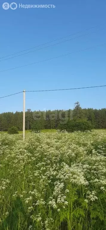 Участок в Куса, посёлок Запруда (10 м) - Фото 1