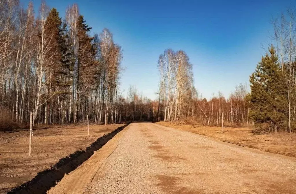Участок в Тюменская область, Нижнетавдинский муниципальный округ, ... - Фото 1