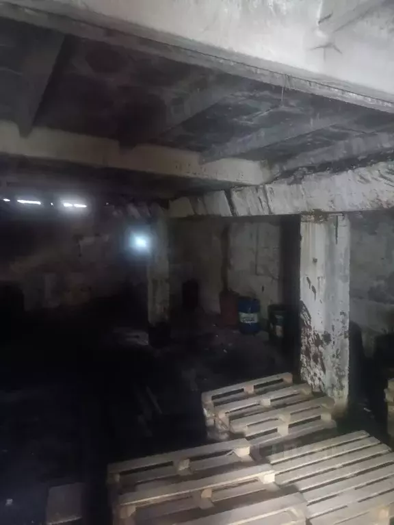 Помещение свободного назначения в Иркутская область, Иркутск ул. ... - Фото 2