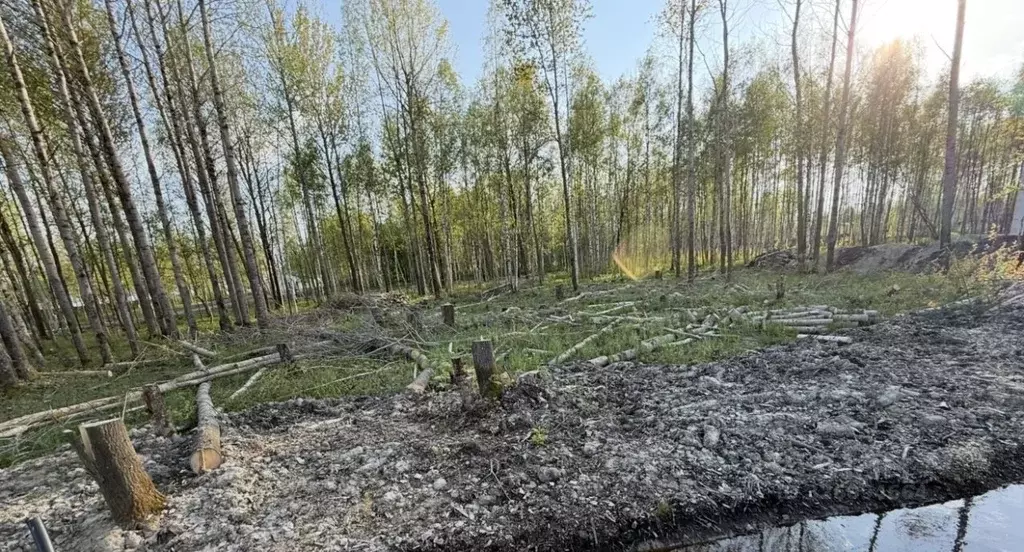 Участок в Санкт-Петербург, Санкт-Петербург, Павловск Павлов Скай кп, ... - Фото 2