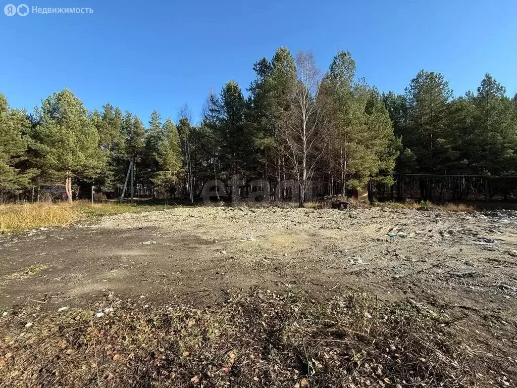 Участок в Бессоновский район, посёлок Подлесный, КП Лесное озеро ... - Фото 2