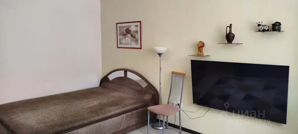 1-к кв. Нижегородская область, Дзержинск Прибрежная тер., наб. Окская, ... - Фото 2