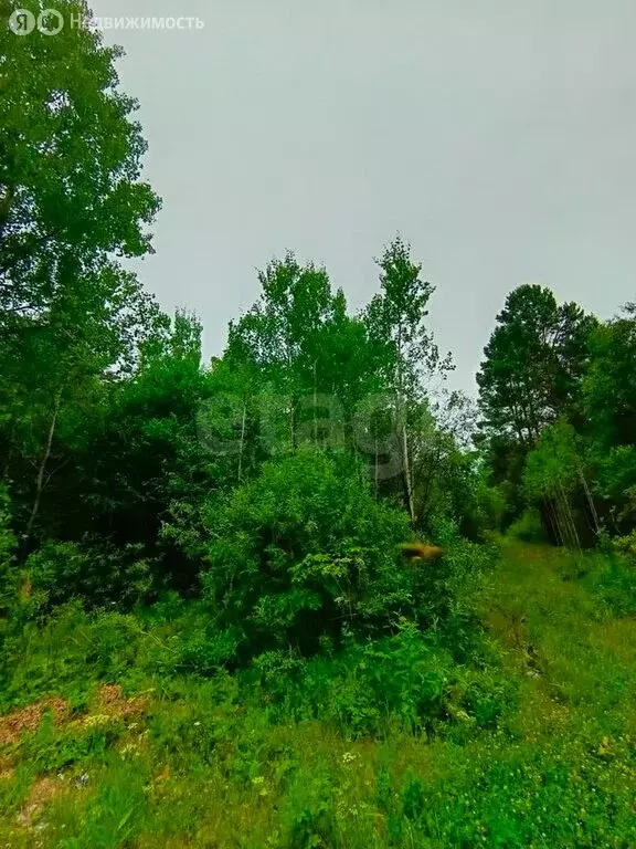 Участок в Тюмень (11 м) - Фото 0
