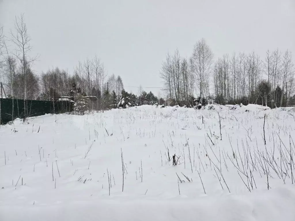 Участок в Тюменская область, Тюменский муниципальный округ, Архип ... - Фото 1