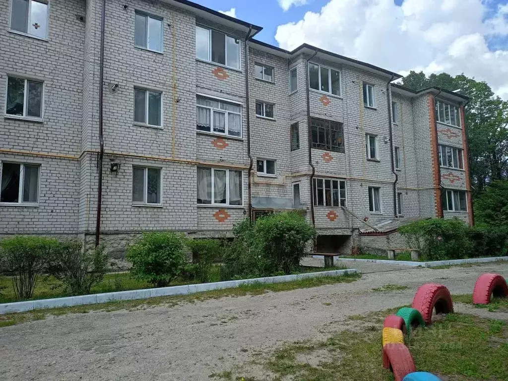 1-к кв. Брянская область, Навлинский район, пос. Синезерки ул. ... - Фото 1