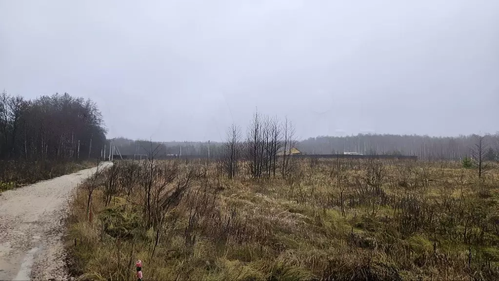 Участок в Московская область, Серпухов городской округ, д. Верхние ... - Фото 1