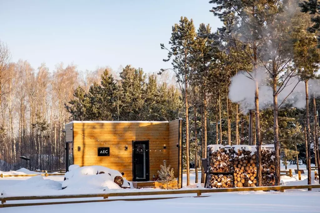 Дом в Красноярский край, Емельяновский муниципальный округ, Тальский ... - Фото 2