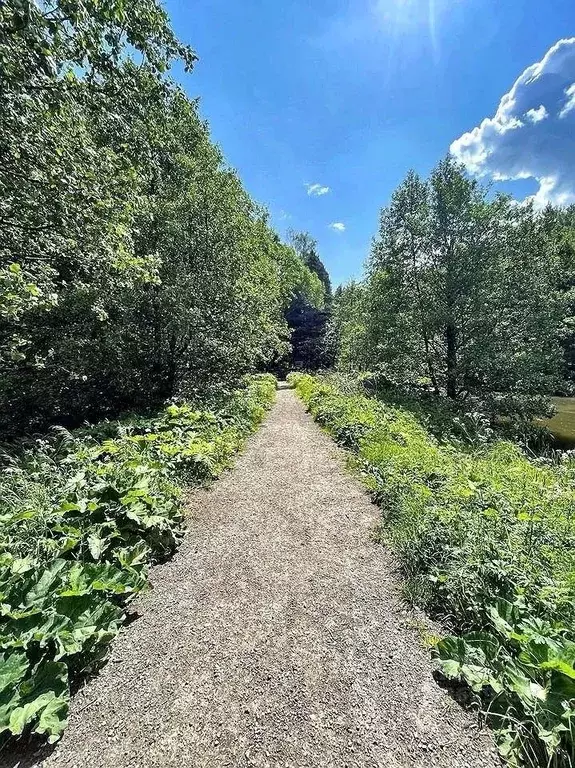 Участок в Московская область, Раменский городской округ, д. Нижнее ... - Фото 1