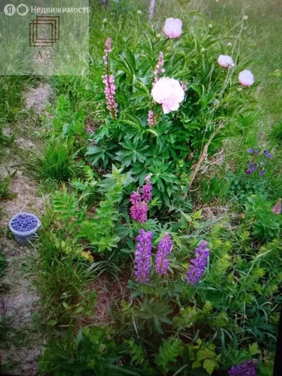 Дом в Барнаул, Змеиногорский тракт, 89В (25 м) - Фото 1