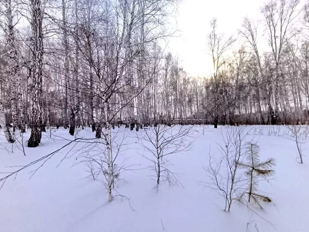 Участок в Челябинская область, Сосновский муниципальный округ, село ... - Фото 2