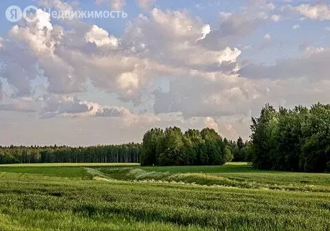 Участок в Иркутский муниципальный округ, Ширяевское муниципальное ... - Фото 0