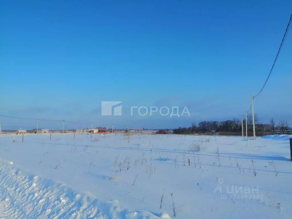 Участок в Новосибирская область, Новосибирский район, Криводановский ... - Фото 2