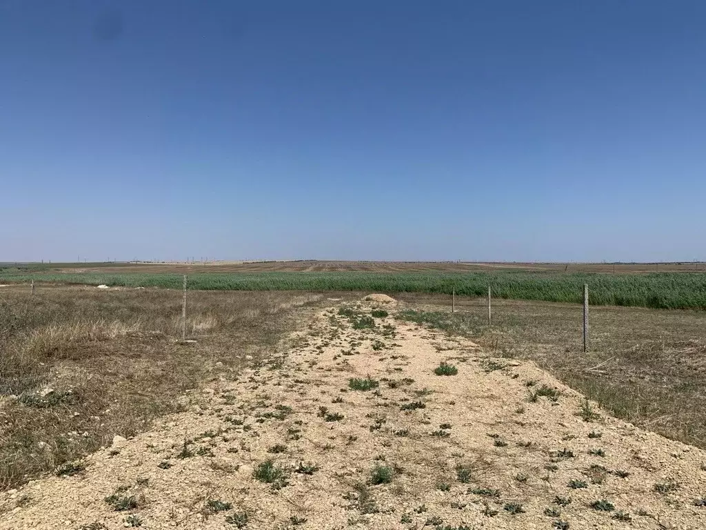 Участок в Крым, Феодосия Колос СПК, ул. Коммерческая (6.0 сот.) - Фото 0