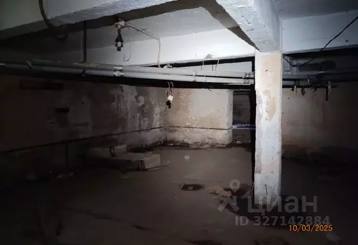 Помещение свободного назначения в Нижегородская область, Нижний ... - Фото 1