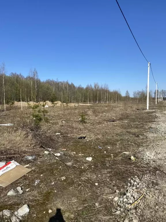 Участок в Нижегородская область, с. Безводное ул. Мирная (12.0 сот.) - Фото 2
