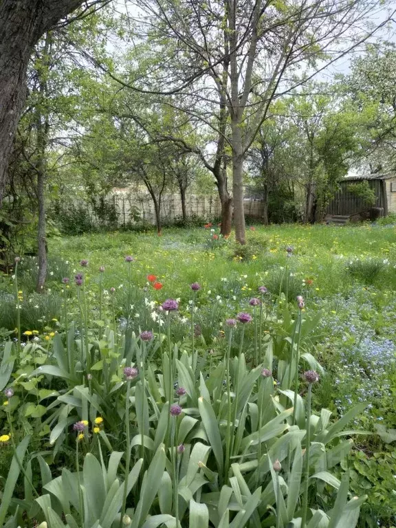 Участок в Курская область, Курск Курск СНТ,  (5.2 сот.) - Фото 0