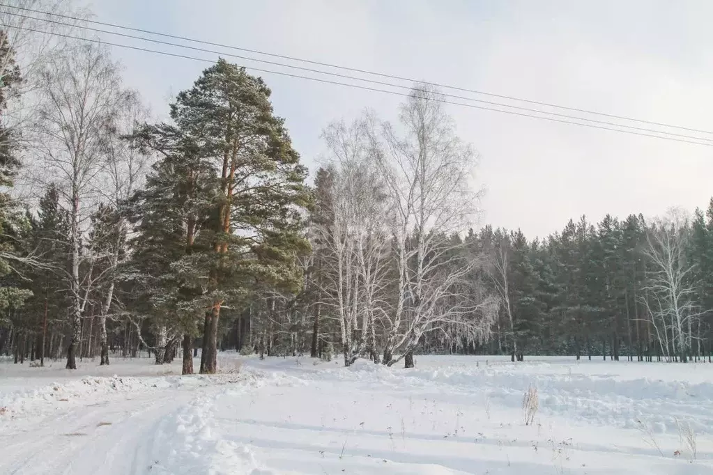 Участок в Свердловская область, Заречный муниципальный округ, с. ... - Фото 1