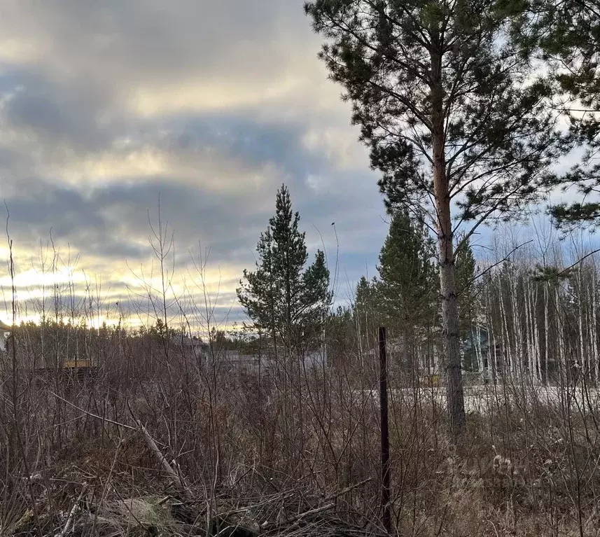 Участок в Свердловская область, Екатеринбург муниципальное ... - Фото 2