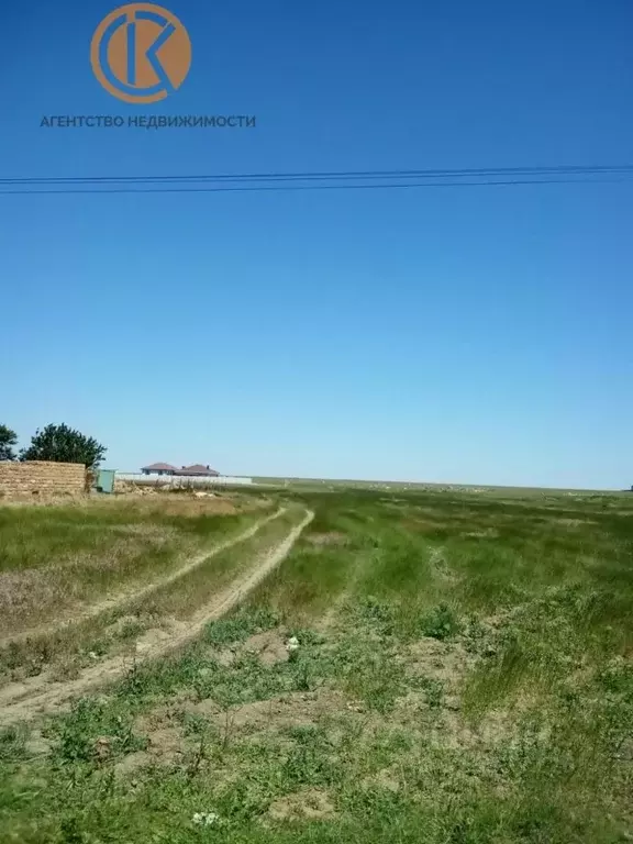 Участок в Крым, Сакский район, Молочненское с/пос, с. Витино ул. ... - Фото 0