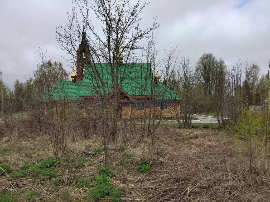 Участок в Нижегородская область, Городецкий муниципальный округ, с. ... - Фото 1