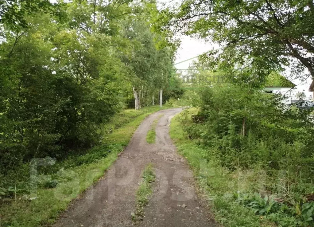 Участок в Приморский край, Артемовский городской округ, с. Кневичи ул. ... - Фото 2