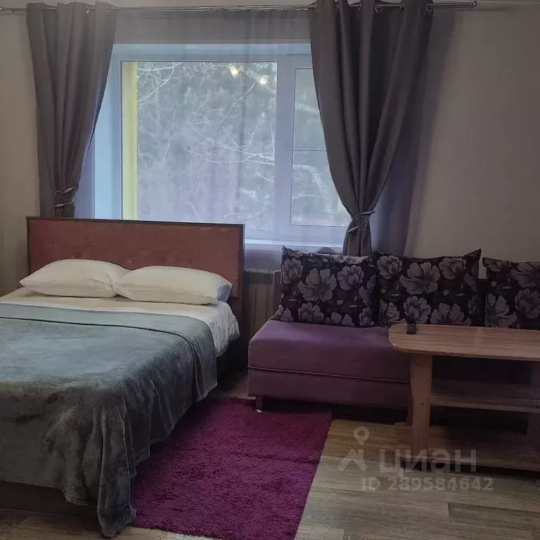 1-к кв. Камчатский край, Елизово ул. Беринга, 10 (31.0 м) - Фото 1