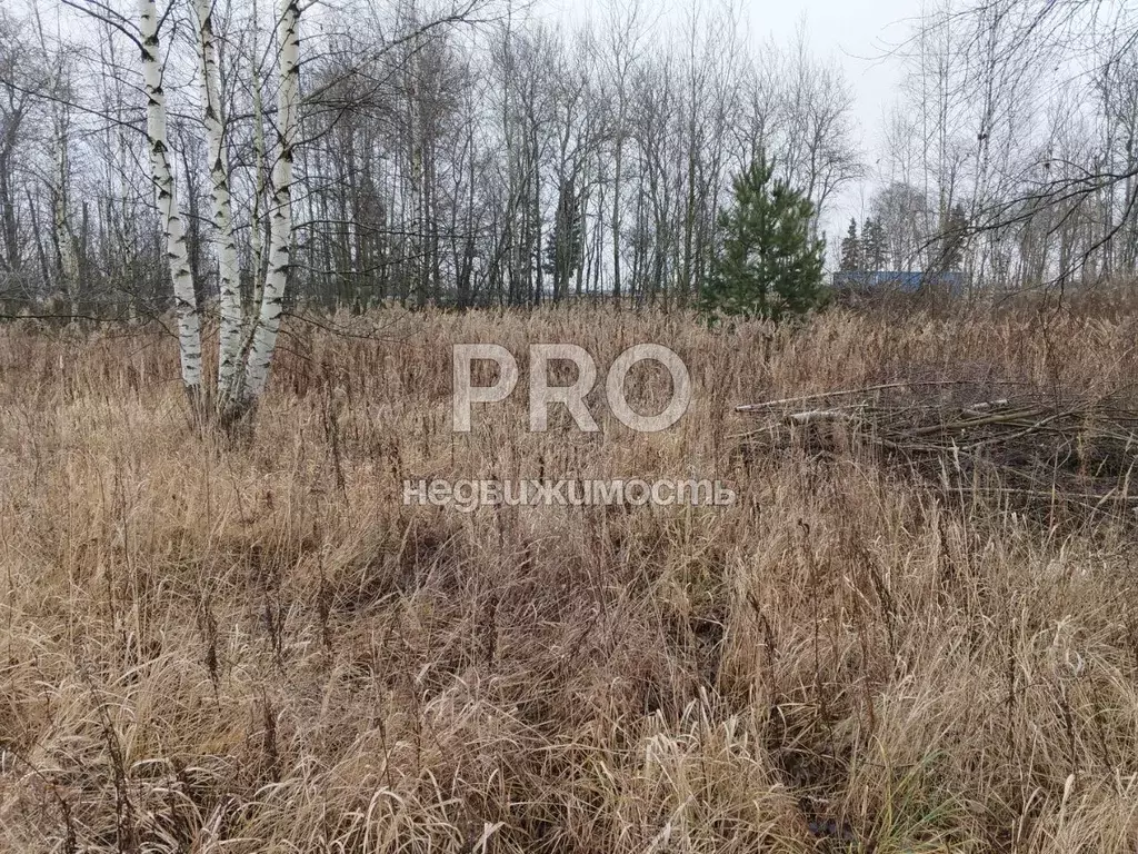 Участок в Ярославская область, Ярославский муниципальный округ, д. ... - Фото 1