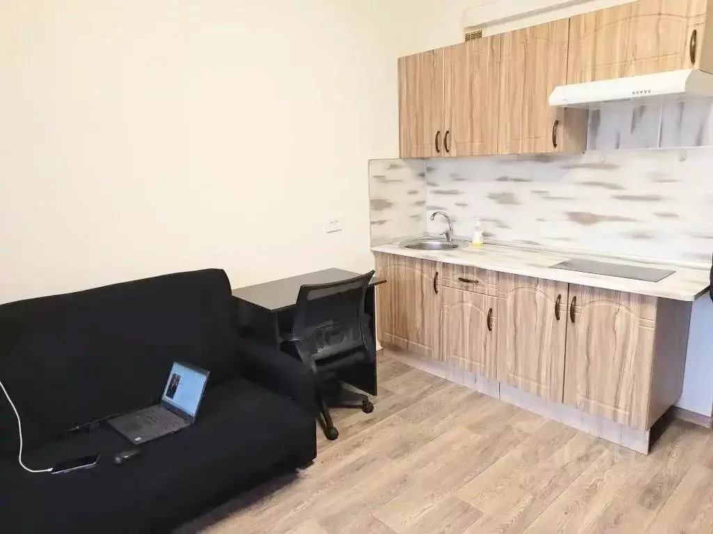 Студия Ленинградская область, Всеволожский район, пос. Бугры бул. ... - Фото 1