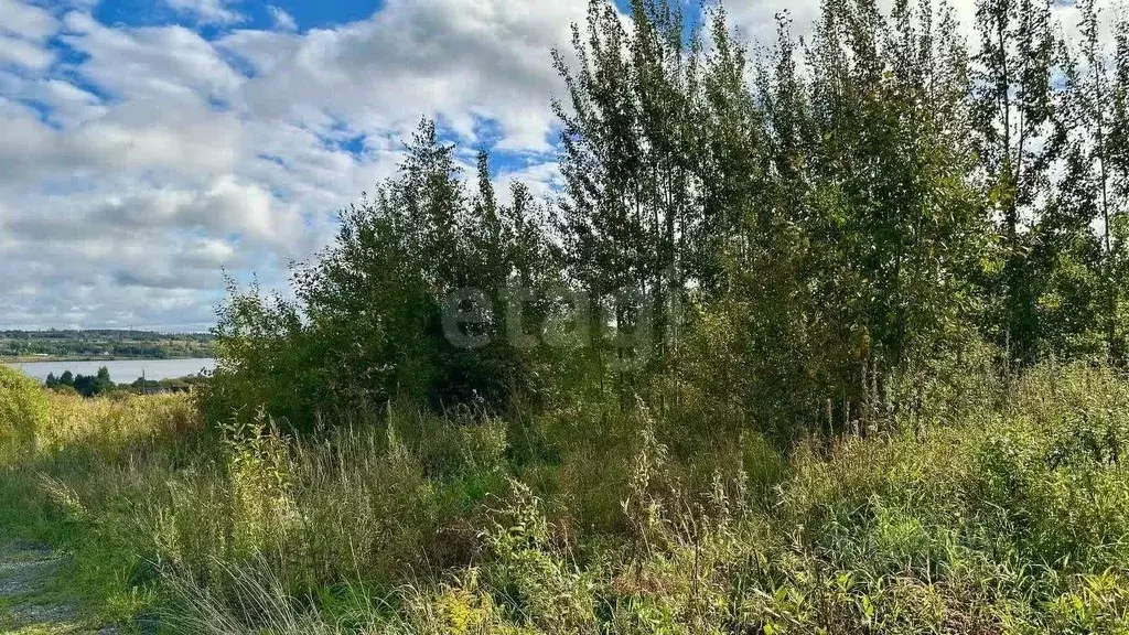 Участок в Вологодская область, Череповец пос. Якунино,  (29.37 сот.) - Фото 1