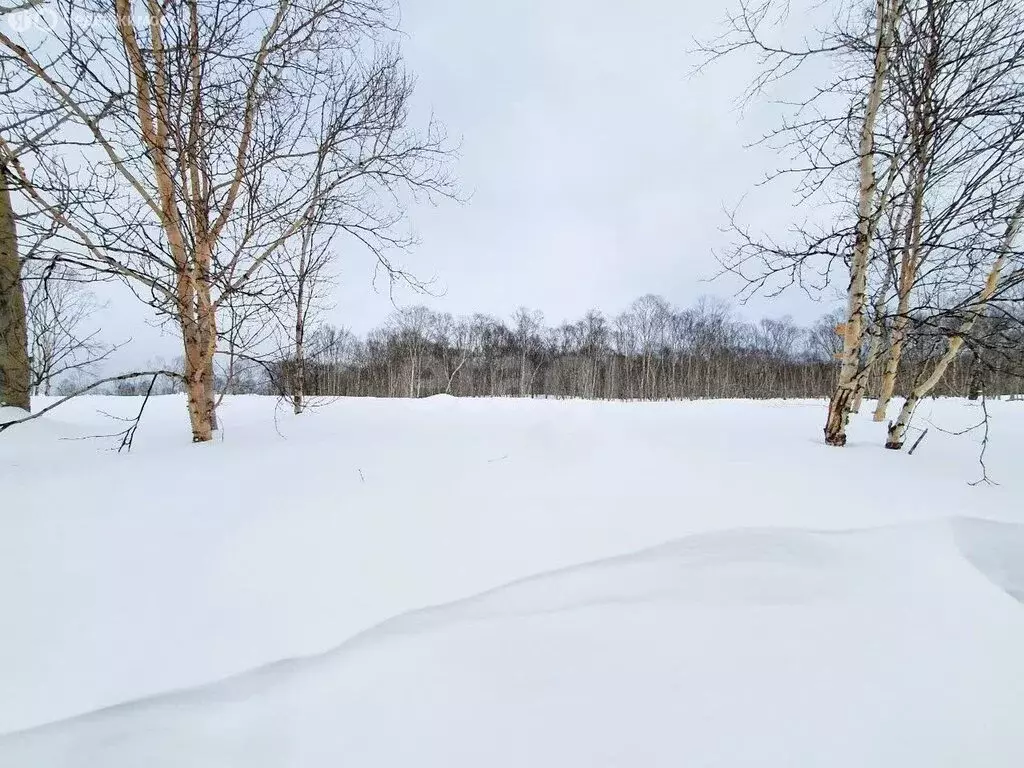 Участок в Камчатский край, Петропавловск-Камчатский (12.05 м) - Фото 2