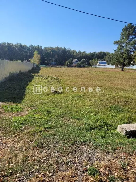 Участок в Рязанская область, Спасский муниципальный округ, пос. ... - Фото 1