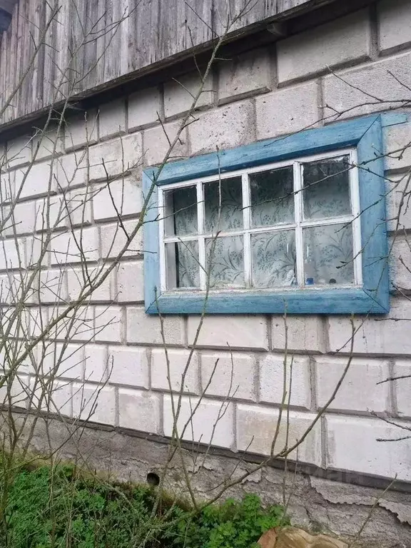 Дом в Ленинградская область, Кингисеппский район, Большелуцкое с/пос, ... - Фото 1