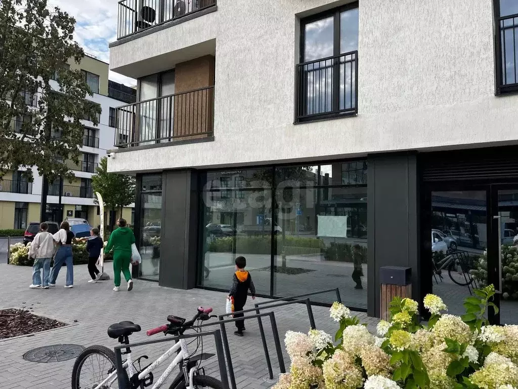 Торговая площадь в Тюменская область, Тюмень ул. Михаила Сперанского, ... - Фото 1