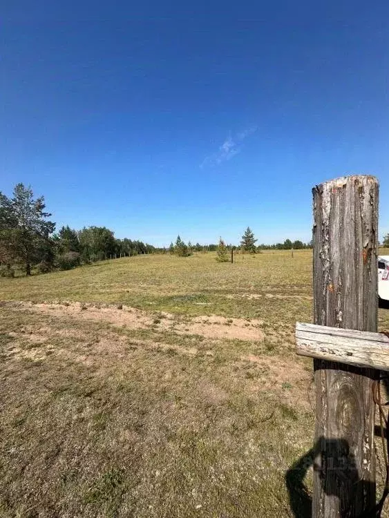 Участок в Саха (Якутия), Якутск городской округ, с. Тулагино  (10.0 ... - Фото 1