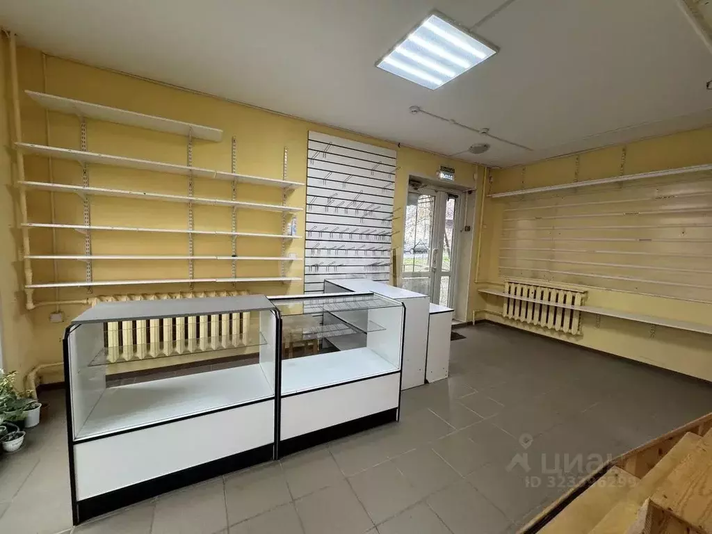 Помещение свободного назначения в Смоленская область, Смоленск ул. ... - Фото 1