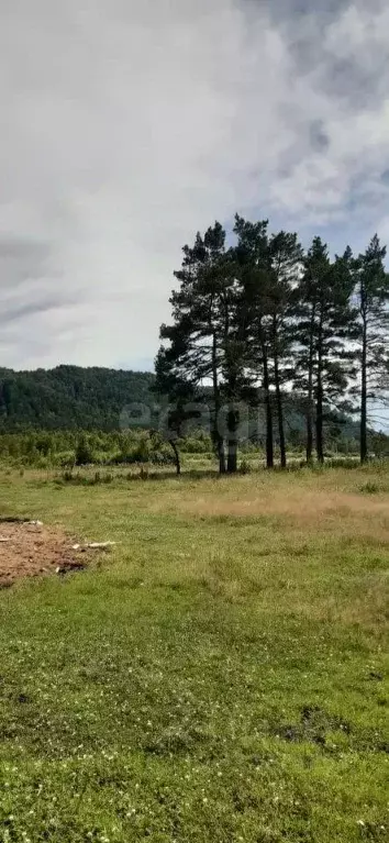 Участок в Алтай, Чойский район, с. Паспаул  (2010.0 сот.) - Фото 0