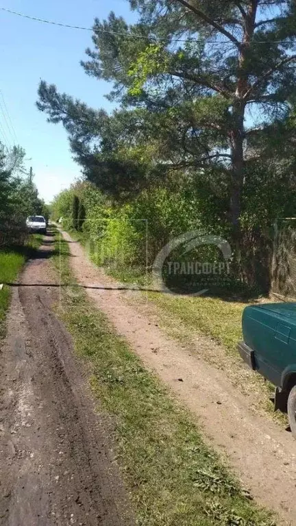 Дом в Воронежская область, Воронеж Лесовод-2 СНТ, ул. Сосновая (46 м) - Фото 1